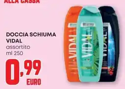 Pam Doccia schiuma Vidal offerta