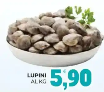 Eté Lupini offerta