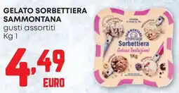 Pam Gelato Sorbettiera Sammontana offerta