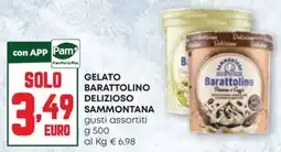 Pam Gelato Barattolino Delizioso Sammontana offerta