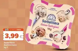 Tigre Sorbettiera Sammontana offerta