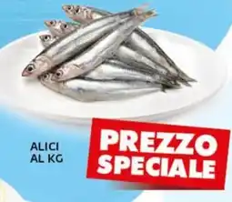 Extra Supermercati Alici offerta