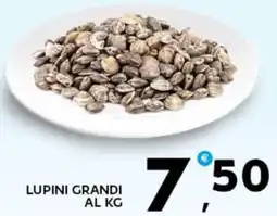 Extra Supermercati Lupini grandi offerta