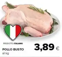 Tigre Amico Pollo busto offerta