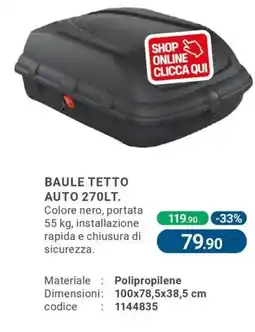 Cfadda Baule Tetto Auto offerta