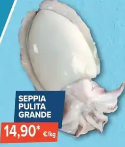 Sapore di Mare Seppia pulita grande offerta