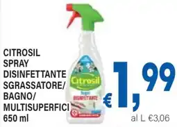 DEM Citrosil spray disinfettante sgrassatore/ bagno/ multisuperfici offerta