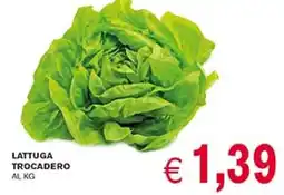 D'Italy Lattuga trocadero offerta
