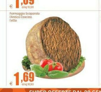 Elite Formaggio offerta