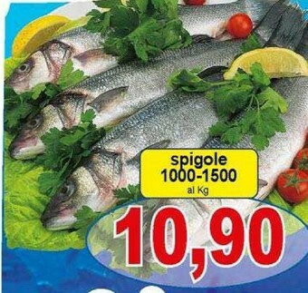 Pewex Pesce offerta