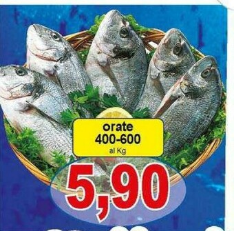 Pewex Orata offerta