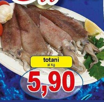 Pewex Pesce offerta