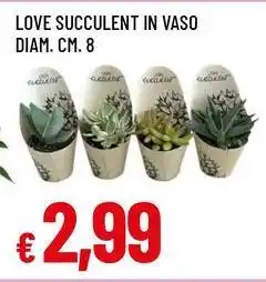 Famila Superstore Love succulent offerta