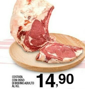 Sigma Costata con osso di bovino adulto offerta