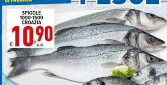 Iper Triscount Pesce offerta
