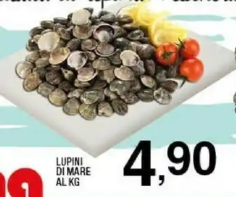 Sigma Lupini di mare offerta