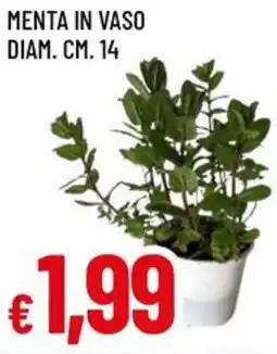 A&O Menta in vaso diam. cm. 14 offerta