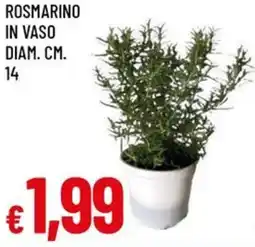 A&O Rosmarino in vaso diam. cm. 14 offerta