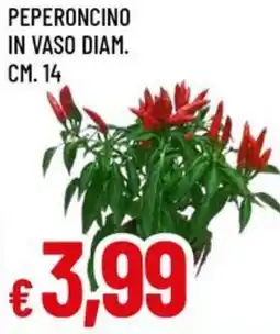 A&O Peperoncino in vaso diam. cm. 14 offerta
