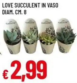 A&O Love succulent in vaso diam. cm. 8 offerta