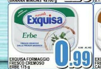 Sacoph Formaggio spalmabile offerta