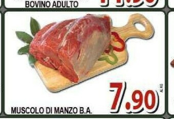 Sacoph Carne offerta