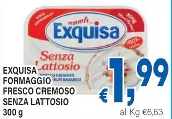 DEM Exquisa formaggio fresco cremoso senza lattosio offerta