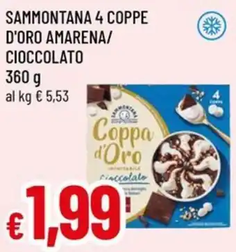 A&O Sammontana 4 coppe d'oro amarena/ cioccolato offerta
