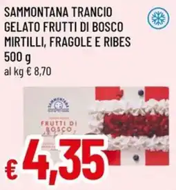 A&O Sammontana trancio gelato frutti di bosco mirtilli, fragole e ribes offerta