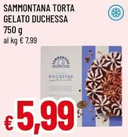 A&O Sammontana torta gelato duchessa offerta