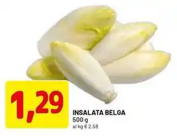 DPiù Insalata belga offerta