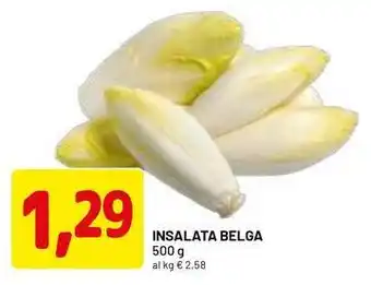 DPiù Insalata belga offerta