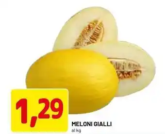 DPiù Meloni gialli offerta