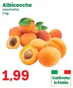 Prix Quality Albicocche offerta