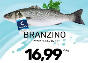 Cromaris branzino