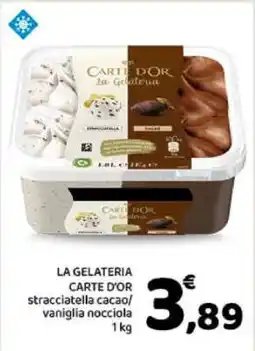 Conad LA GELATERIA CARTE D’OR offerta
