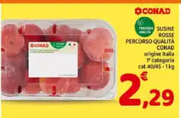 Conad SUSINE ROSSE PERCORSO QUALITÀ CONAD offerta