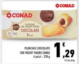Conad PLUMCAKE CIOCCOLATO CON YOGURT MAGRO CONAD offerta