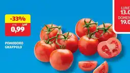 ALDI Pomodoro Grappolo offerta