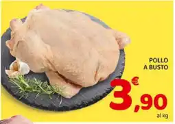 Conad Pollo a Busto offerta