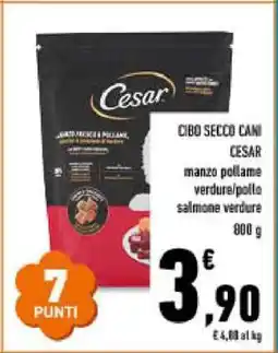 Conad CIBO SECCO CANI CESAR offerta