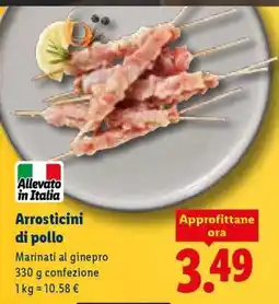 Lidl Arrosticini di Pollo offerta