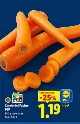 Lidl Carote del Fucino IGP offerta