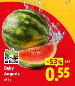 Lidl Baby Anguria offerta