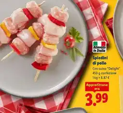 Lidl SPIEDINI DI POLLO offerta