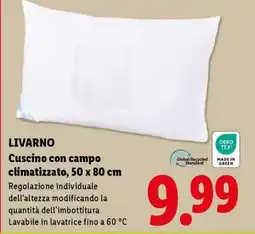 Lidl LIVARNO Cuscino con campo climatizzato, 50 x 80 cm offerta