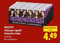Lidl PALETTE Tinta per capelli Intensive Color offerta