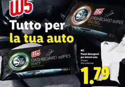 Lidl W5 Panni detergenti per interni auto offerta