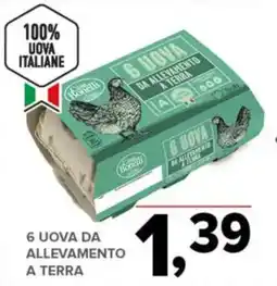 Todis 6 uova da allevamento a terra offerta