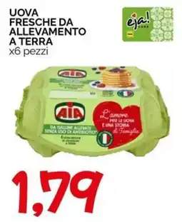 Hardis Uova fresche da allevamento a terra Aia offerta